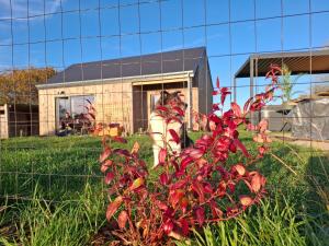 Peace and Loft in Durbuy Cottage