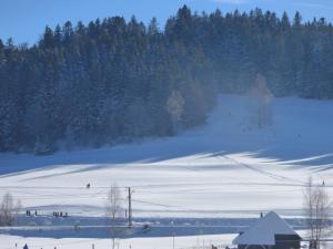 Ferienwohnung Seeblick Nr 1 ,Feldberg Bärental