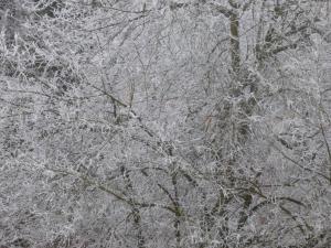 Ferienwohnung Seeblick Nr 1 ,Feldberg Bärental