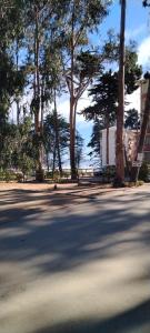 Departamento en Condominio Bosques de El Tabo