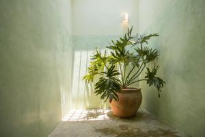 Casa Muro in the heart of Oaxaca
