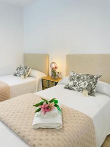 Mar de Fabiola Exotic -Playa Granada- Beach & Golf