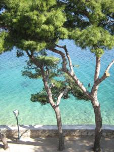 Apartments & Room Nina