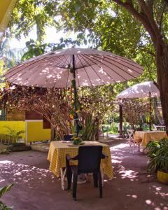 Coco Encantado Eco Hostal Camping