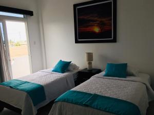 Piqueros patas azules