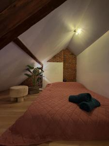 NEW Luna residences - in the city center