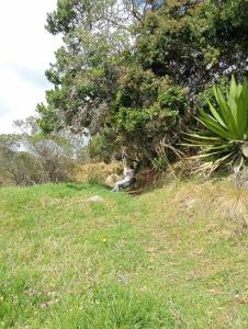Finca La Esperanza Campestre Cucunuba