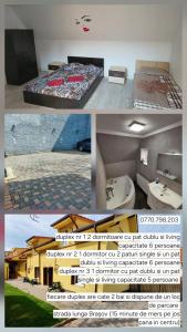 Apartamente de inchiriat Lucky House