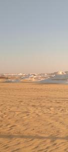 White Desert Safari trip , two days one night camping