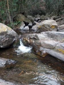 Ikigai alojamiento con piscina