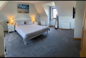 Modern timber clad house