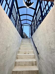 Modern Cozy Basement Suite Free Parking