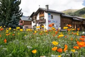Chalet Irene Livigno - ليفينو