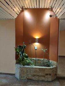 Ciudad de Buenos Aires 1