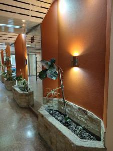 Ciudad de Buenos Aires 1