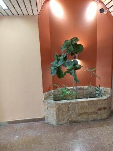 Ciudad de Buenos Aires 1