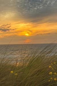 De Strandgaper Egmond
