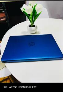 Luxury Apartment Suite