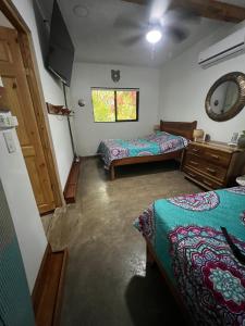 Entire home plus pool between Cahuita and Puerto Viejo Excellent Location