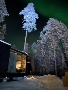 Balder Luxury Lodge & Glass Igloos