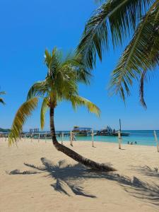 Bonsai Rentals - West Bay Private Rooms