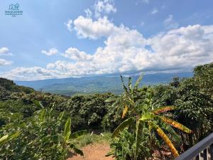 Soluciones empresariales wr