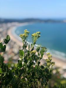 Casa de Praia em Bombinhas com Vista 3 quartos