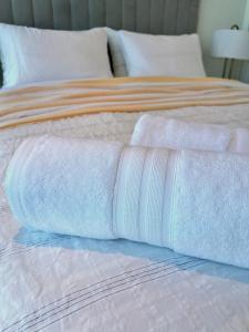 River and city view Sky tower L78 2b2b