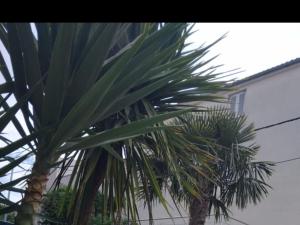 Villa Marija - Five Bedroom Villa with Terrace and Swimming Pool