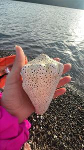 Casa Carao Peninsula de Nicoya - front beach