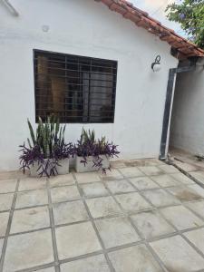 Private Loft in Asuncion