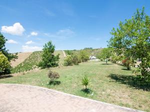 Apartment in Marche with Pool and BBQ