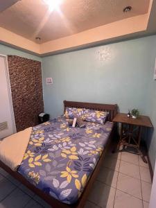 Ace Travellers Inn- Palawan