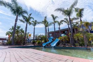 The Black Dolphin Holiday Park