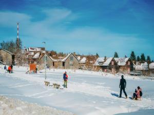 Ferienhäuser im Torfhaus Harzresort, Torfhaus
