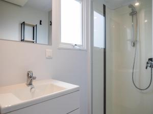 Chalet in Friesland near Alde Feanen