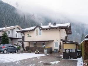 Holiday home in Hollersbach im Pinzgau
