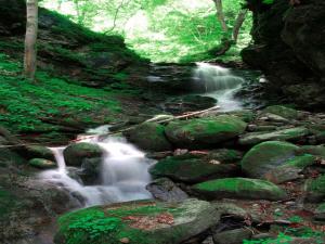 Farmhouse near Afritzer See & Verditz Trails