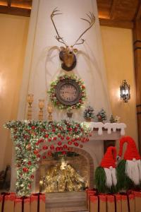 Venus Hotel Tam Đảo