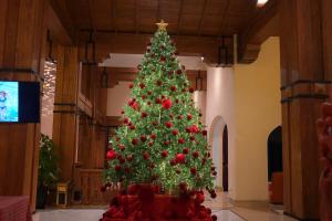 Venus Hotel Tam Đảo