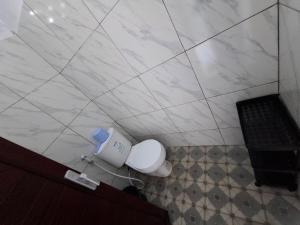 YouYouKe Papillon Santolo