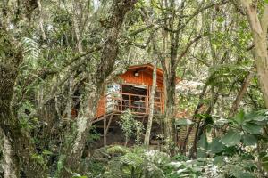 Cabaña en Medio del Bosque con Jacuzzi - Santa Elena
