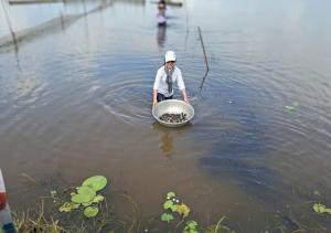 Hương Tràm Homestay