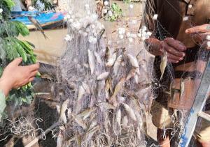 Hương Tràm Homestay