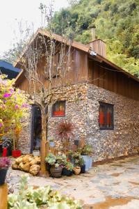 Bắc Hà Green Homestay