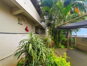 The pearls of durban