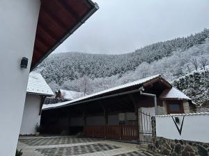 Pensiunea Hanzu Darius