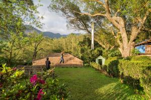 Hostyard Plantation Hostel near Munnar
