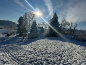 Kuća za odmor Šumska vila