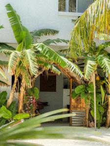 Dhiffushi Inn